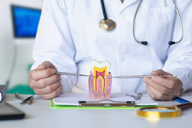Best Emergency Treatment for Toothache in Bay Park, NY